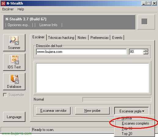 Escáner de vulnerabilidad para servidores de Web: N-Stealth Security Scanner