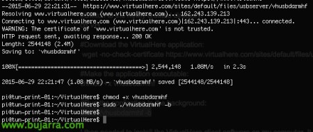 raspberry-usb-server-01-Bujarra