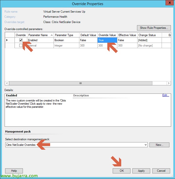 Citrix-NetScaler-SCOM-System-Center-Operations-Manager-14-bujarra