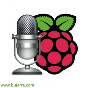 Raspberry_reconocimiento_voz_espanol_03-bujarra