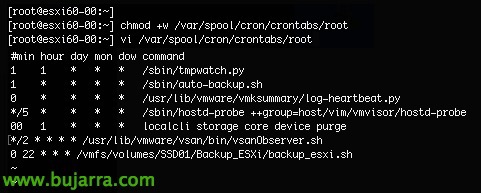 Backup-ESXi-Configurazione-Pianificata-05-Bujarra