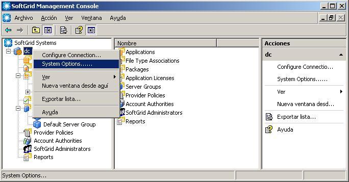 Softgrid Server