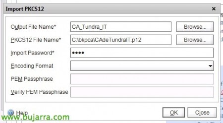 Netscaler-CAG-Citrix-Access-Gateway-Certificado-04-Bujarra