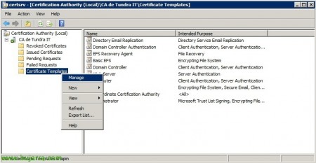 Netscaler-CAG-Citrix-Access-Gateway-Certificado-16-bujarra