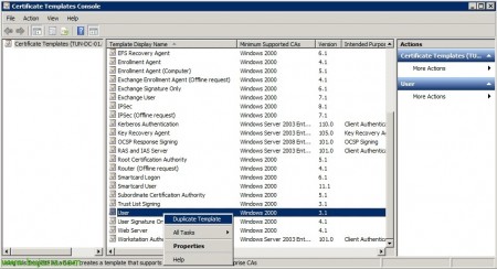 Netscaler-CAG-Citrix-Access-Gateway-Certificado-17-bujarra