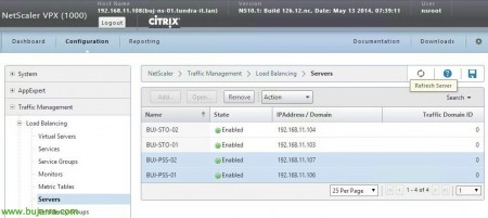 Citrix-Provisioining-Load-Balancing-Netscaler-03-Bujarra