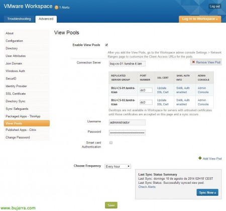 VMware-WorkSpace-2-View-11-bujarra