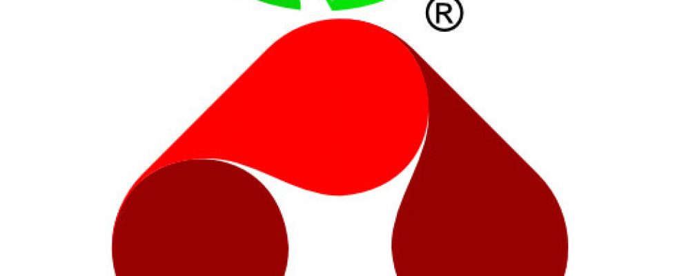 Pi-hole_Logo1