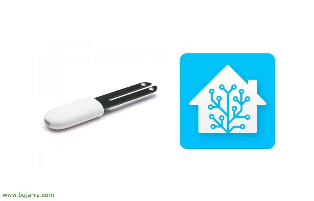 Überwachung der Gesundheit unserer Pflanzen mit Home Assistant