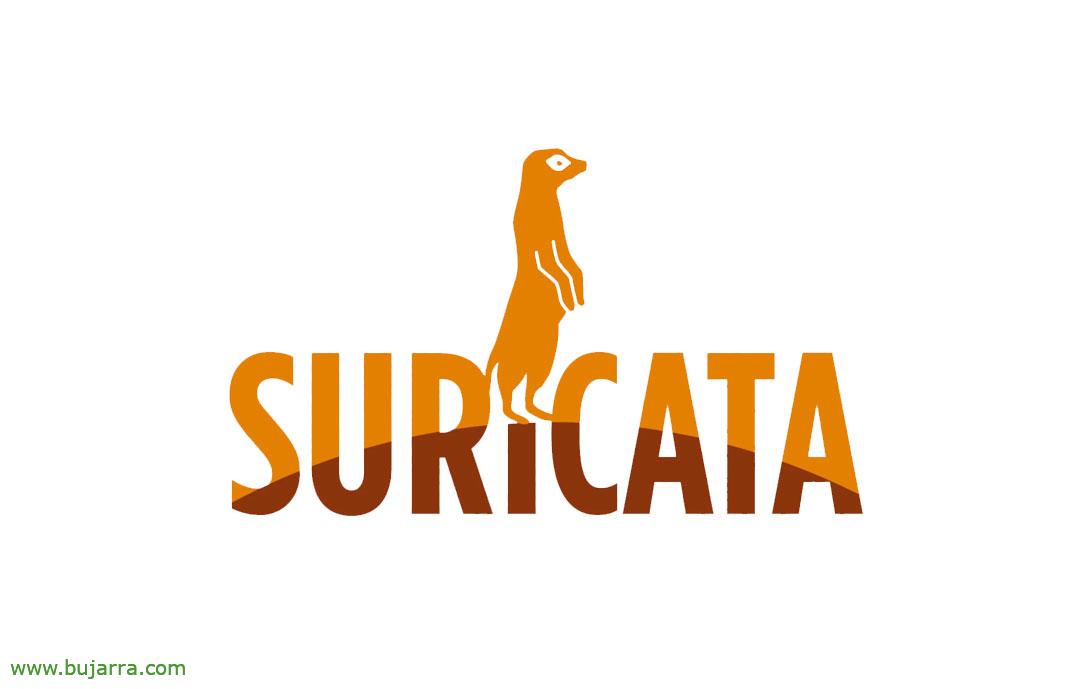 Installation von Meerkat