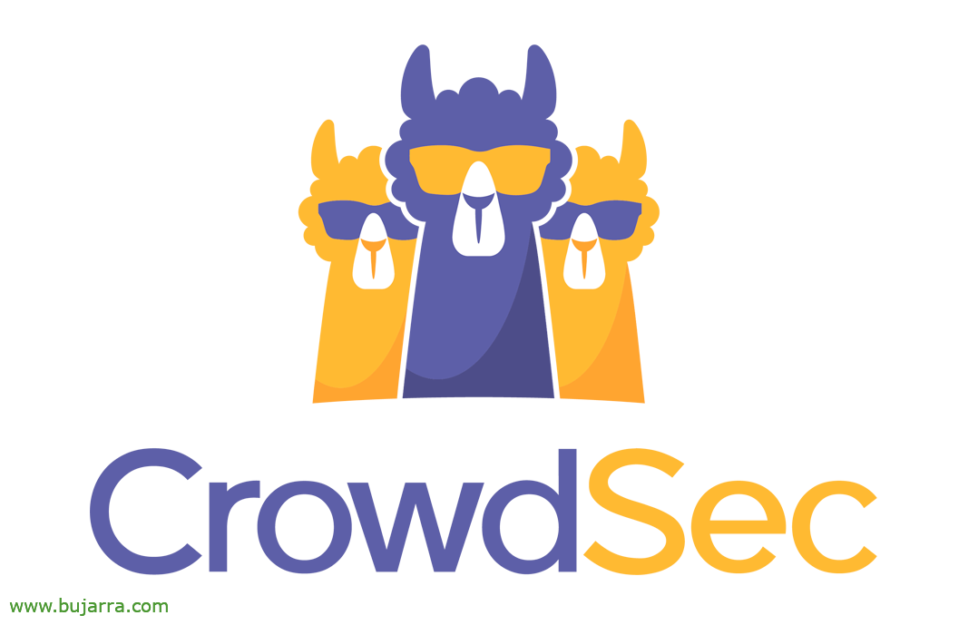 Schutz unserer Maschinen mit Crowdsec – Teil I
