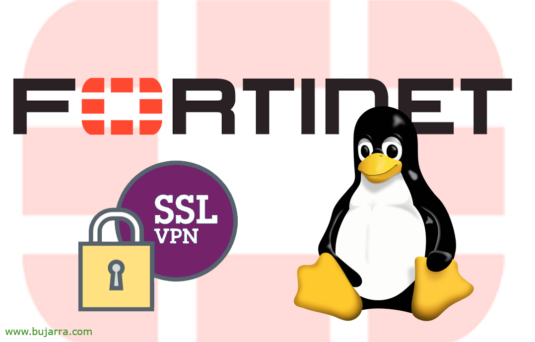 Verbinden eines Linux-PCs mit einem Fortigate SSL-VPN