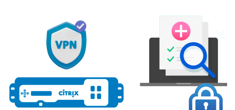 VPN mit Citrix NetScaler I – Einsatz & Vor der Authentifizierung